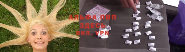 крисы Данков