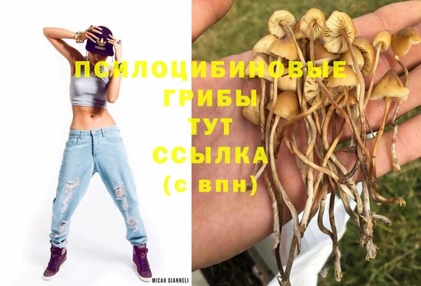 не бодяженный Дегтярск